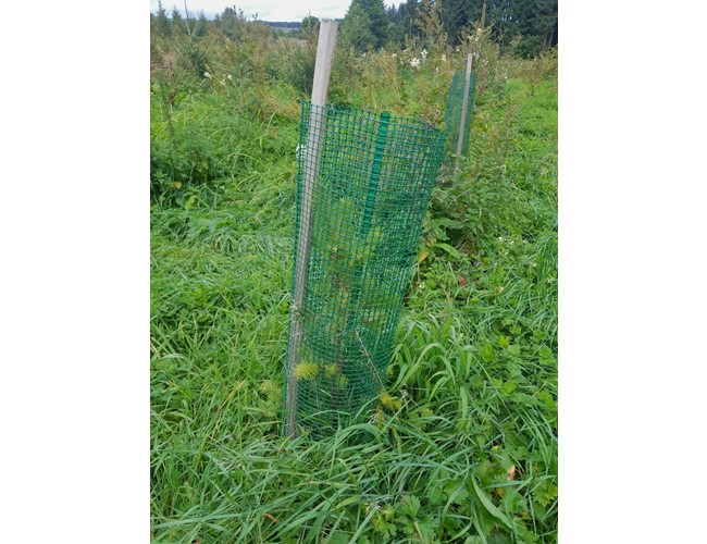 Manchon Layflat Profi en rouleau Ø 30